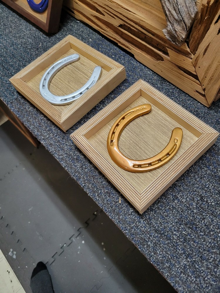 Horse Shoe Art