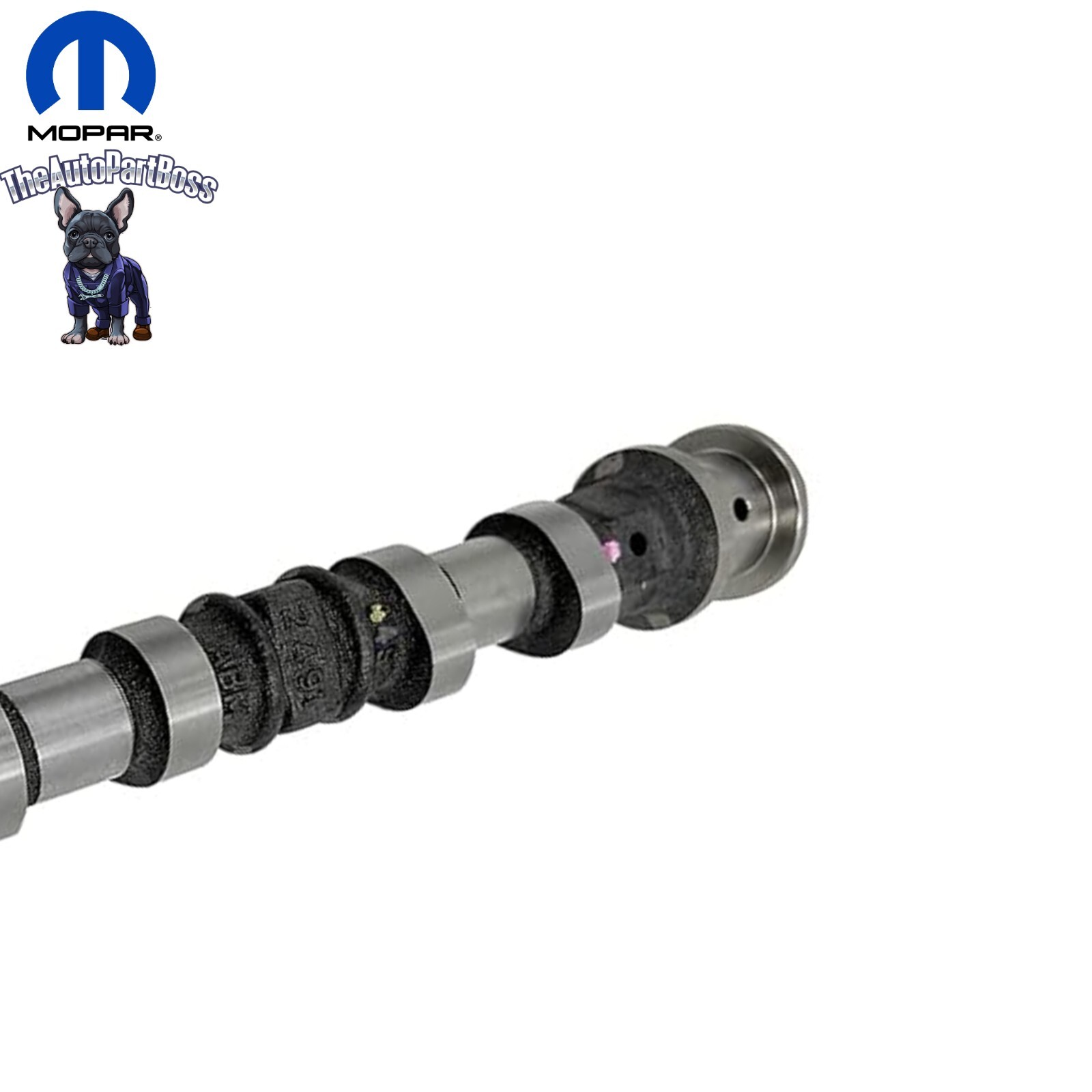 11-24 3.6L Intake Camshaft, Right Side Genuine Mopar 05184380AH