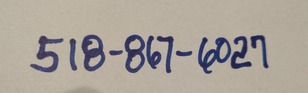 Barn Door ANTIQUE GREEN PAINT LATCH SQUARE NAILS PRIMITIVE