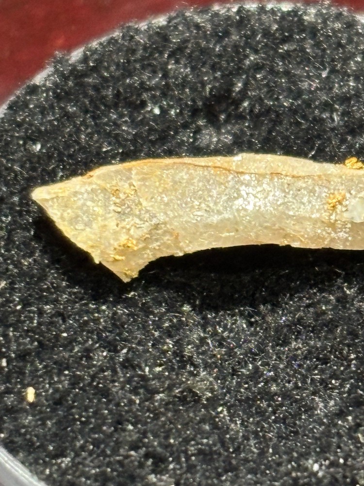 Nice Gold On Quartz Specimen .4 Grams