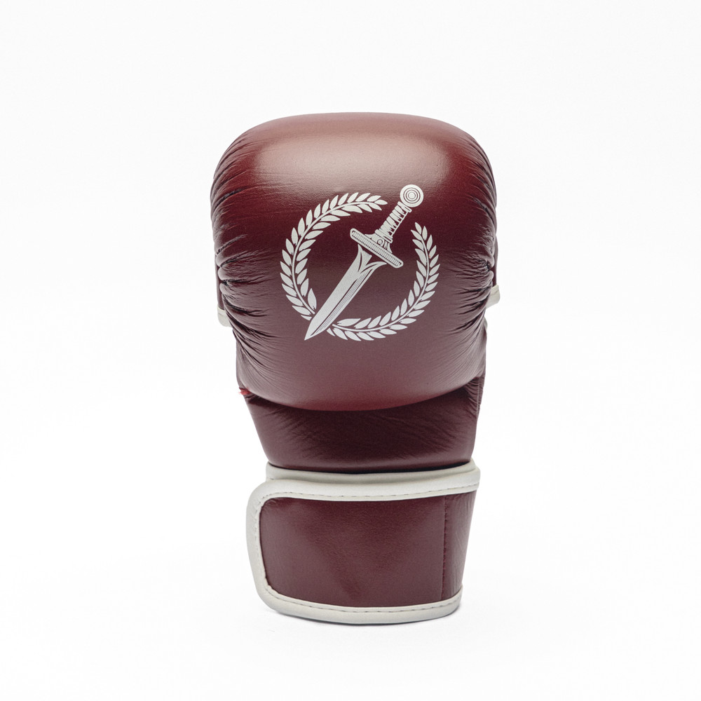 GLADIUS Legionary MMA Gloves, Size Large