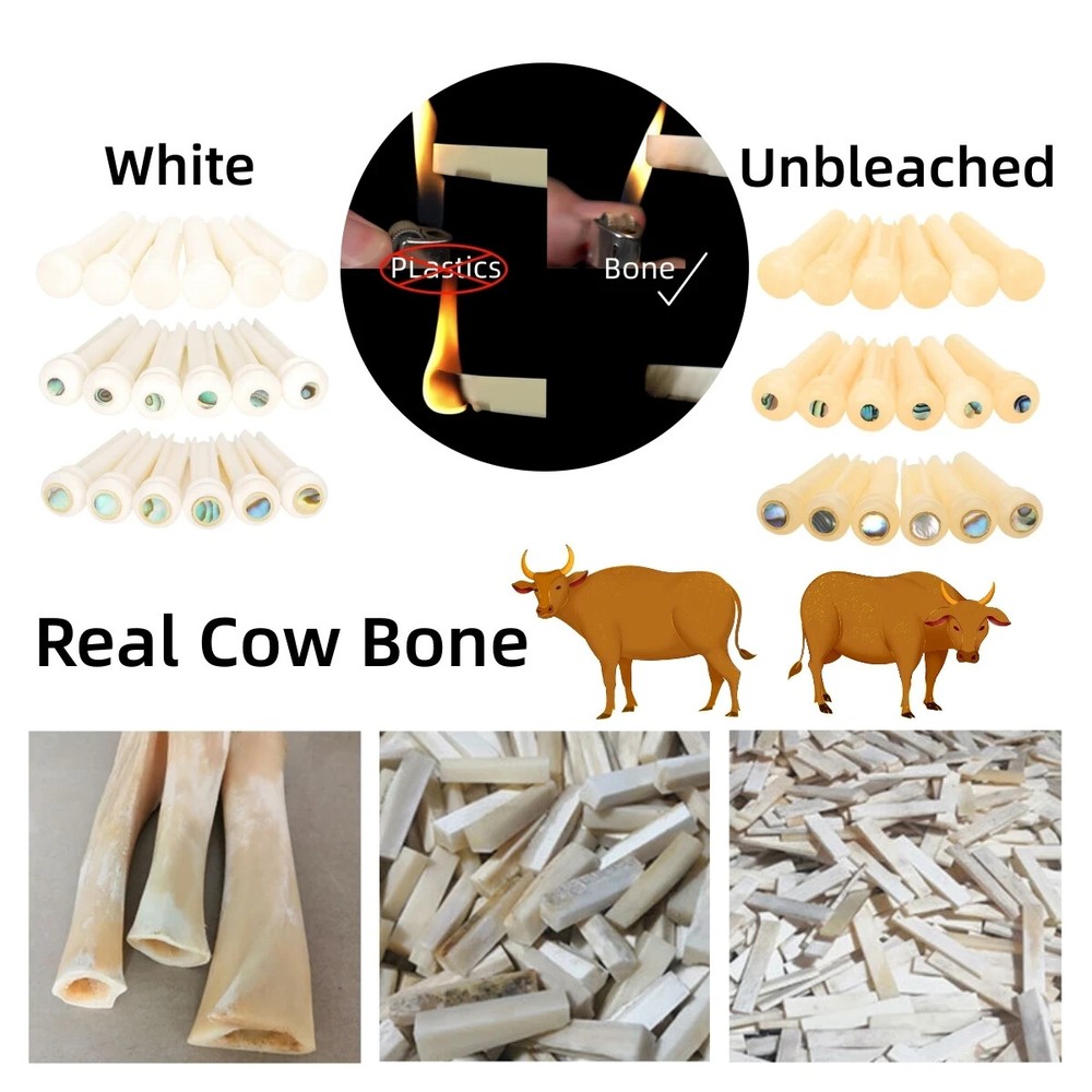 60x Guitar Pin String Peg Unbleached Bone Bridge Abalone shell Luthier H01