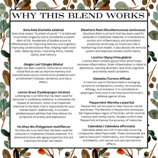 Focus Memory & Concentration | Organic Herbal Extract Tincture | Learning | ADHD