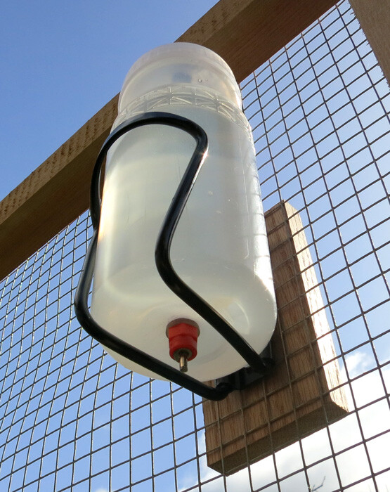 Brooder Bottle Nipple Waterer for Chicks and Chickens (20 fl. oz.) + Cage Mount