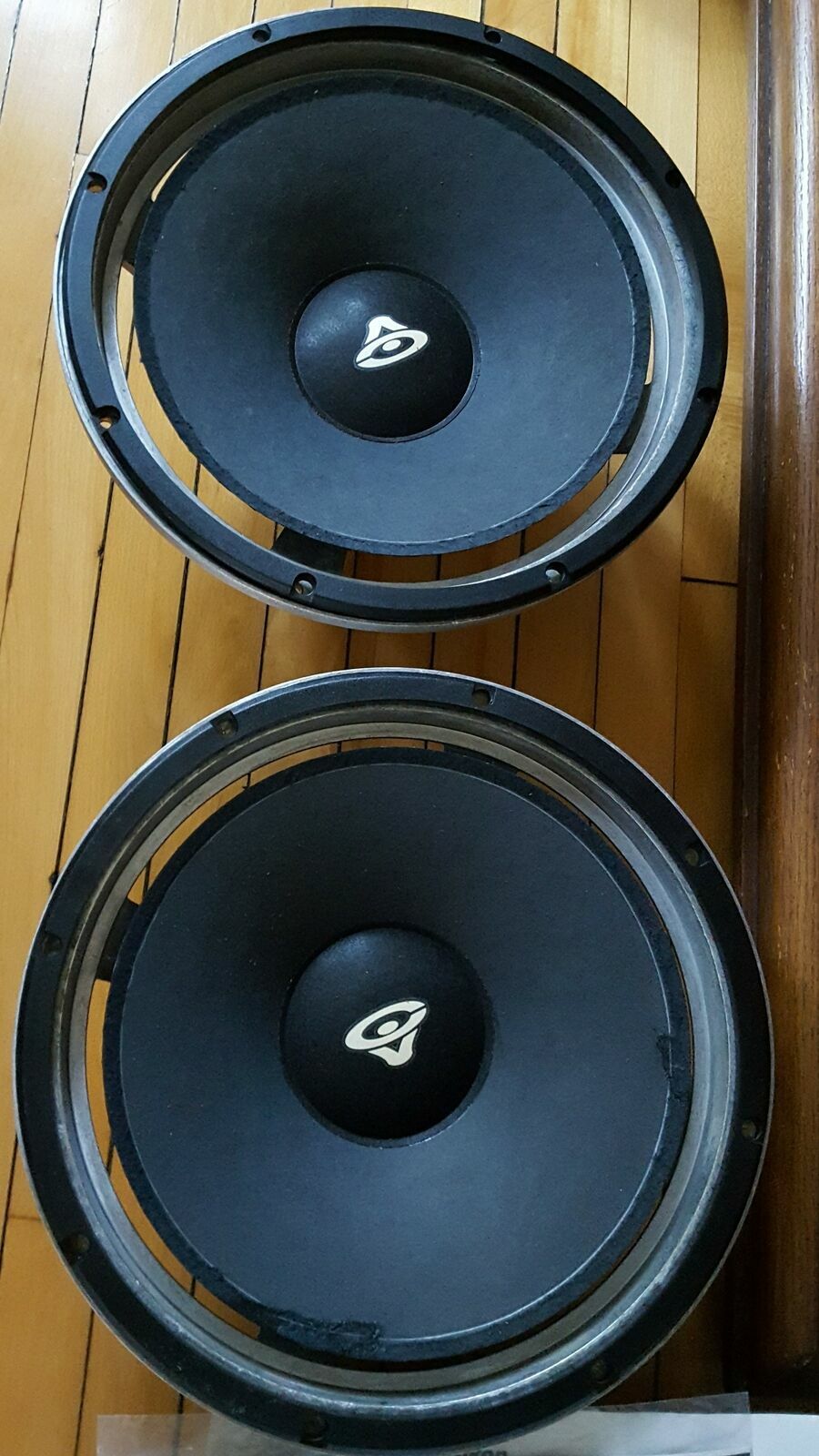 Cerwin Vega D5, DX5, D6, E312, RE-30 12" Foam Surround Speaker Woofer Repair Kit