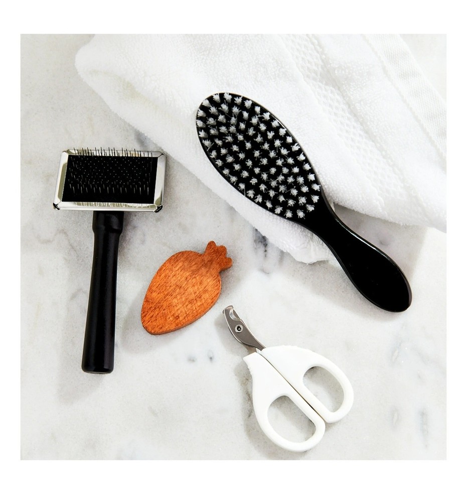 Small Animal Grooming Kit