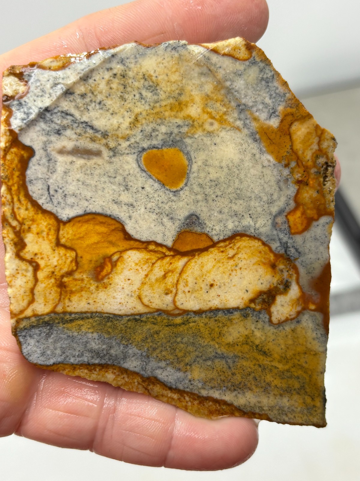 Disaster Peak Picture Jasper Cabbing Lapidary Collecting Combo Ship Avail