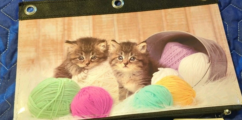 Binder Pouch. Cute Kittens