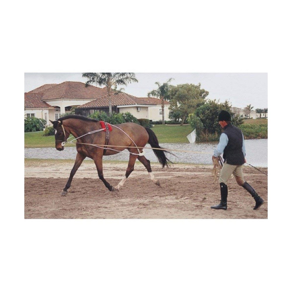Pessoa Lunging System Horse