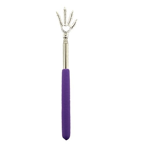 Diamond Visions Eagle Claw Assorted Back Scratcher 1 pk