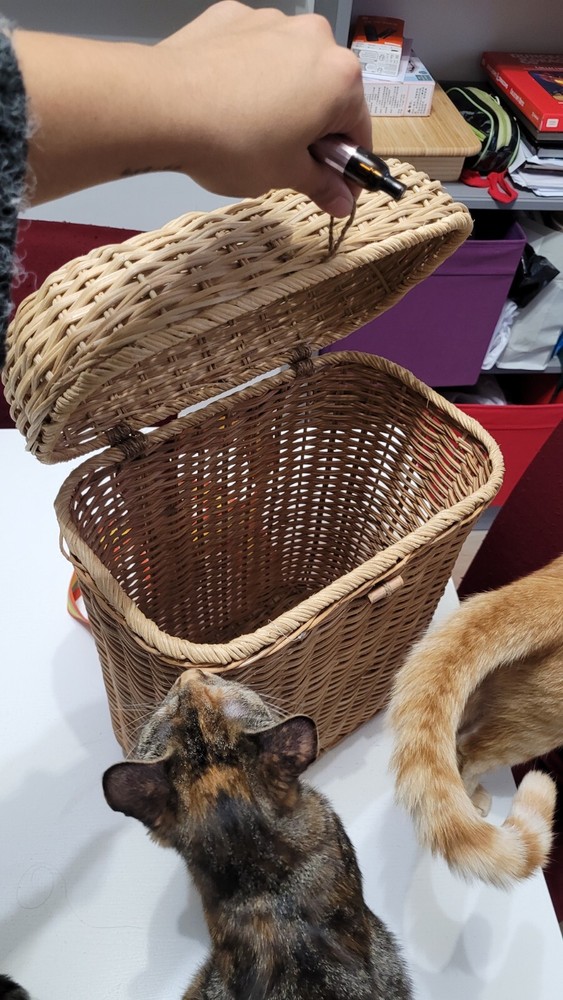 IKEA SOLBLEKT Wicker Backpack Limited Edition Rare 2020