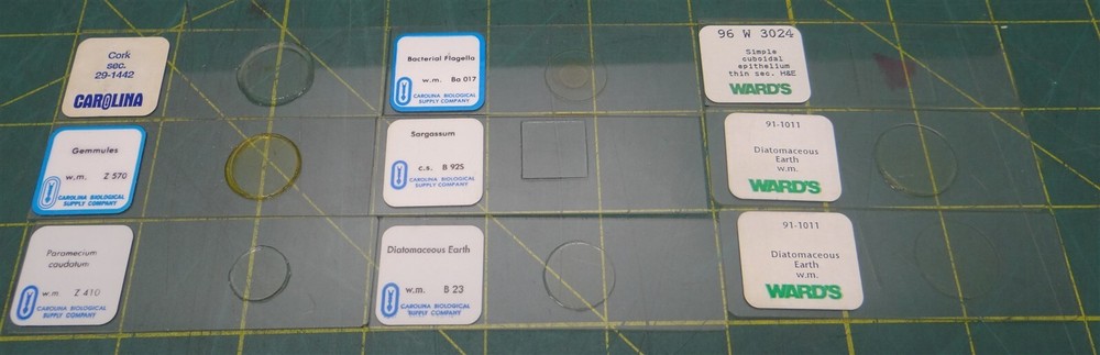 (9 Pack) Misc. Brand Misc. Prepared Microscope Slides in a Blue Storage Box