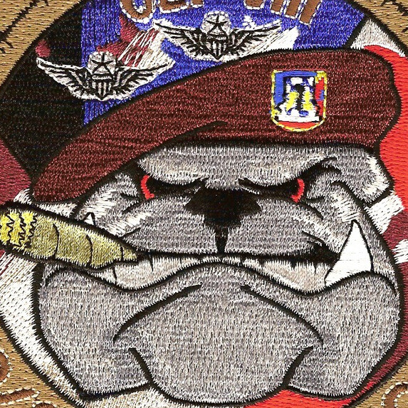 2nd Squadron 82nd Aviation Regiment D Company Patch