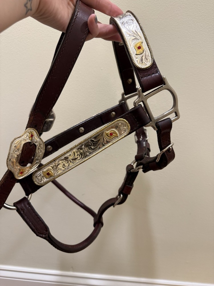 Leather Showmanship Halter and Lead