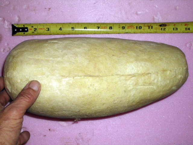 ONE MEDIUM SIZED GOOSE FOAM FORM