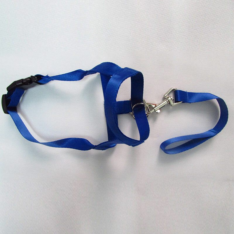 Gentle Halter Leash Gentle Leader Head Collar No Pull for Training Dog Muzzle❥