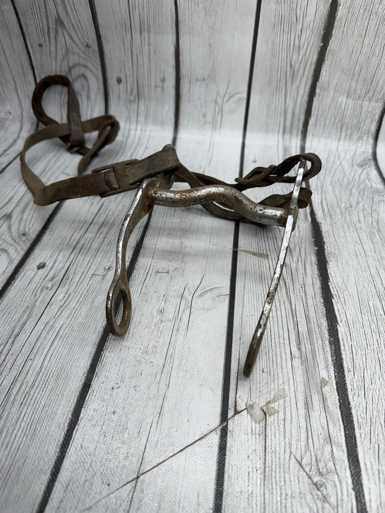 Vintage House Mouth Bit