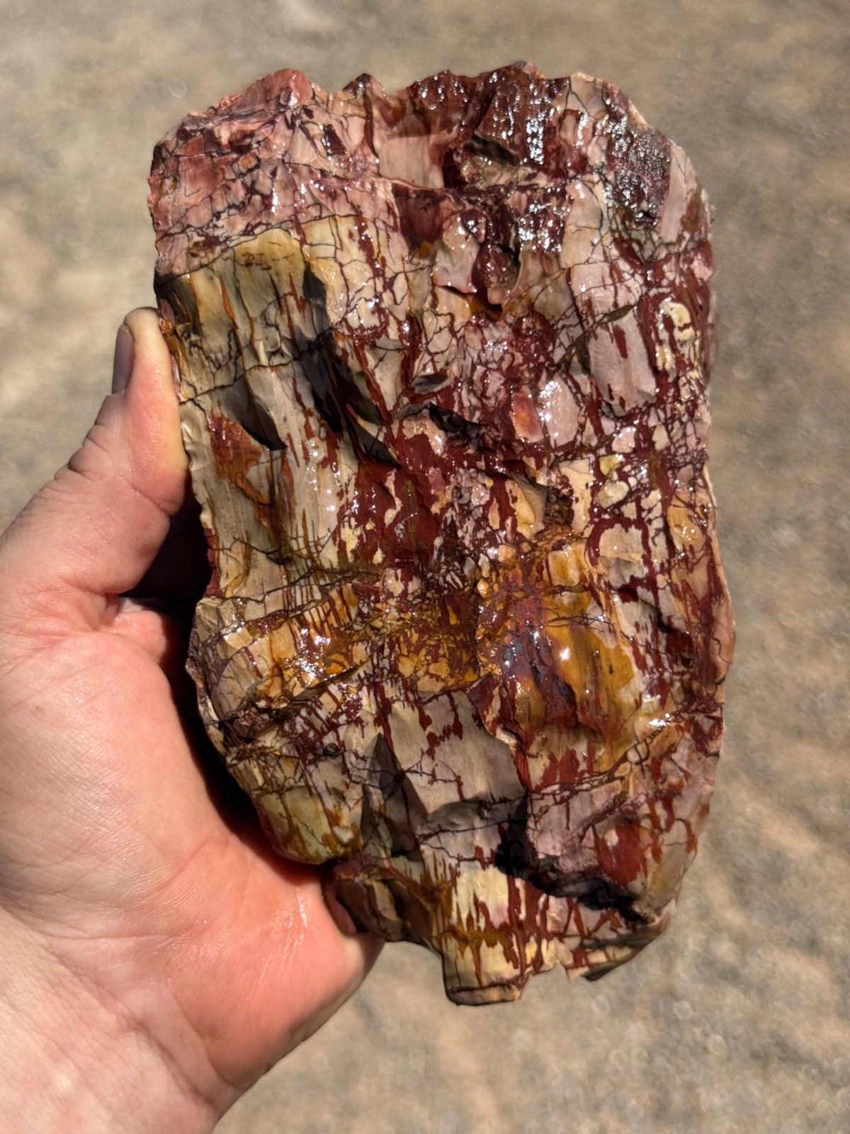 Dead Camel Jasper rough 21 pounds