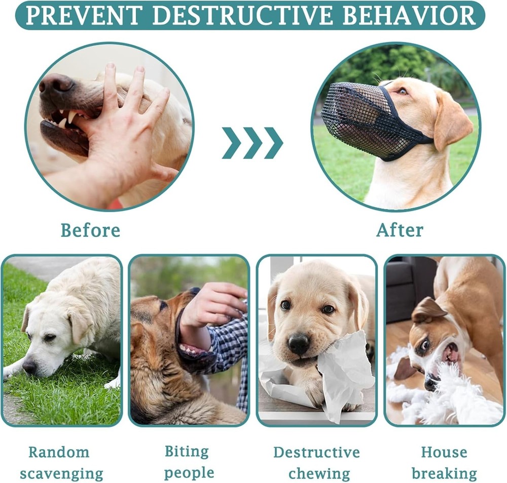 Lightweight Mesh Dog Muzzle for Medium-Sized Dogs - Perfect for Socialization