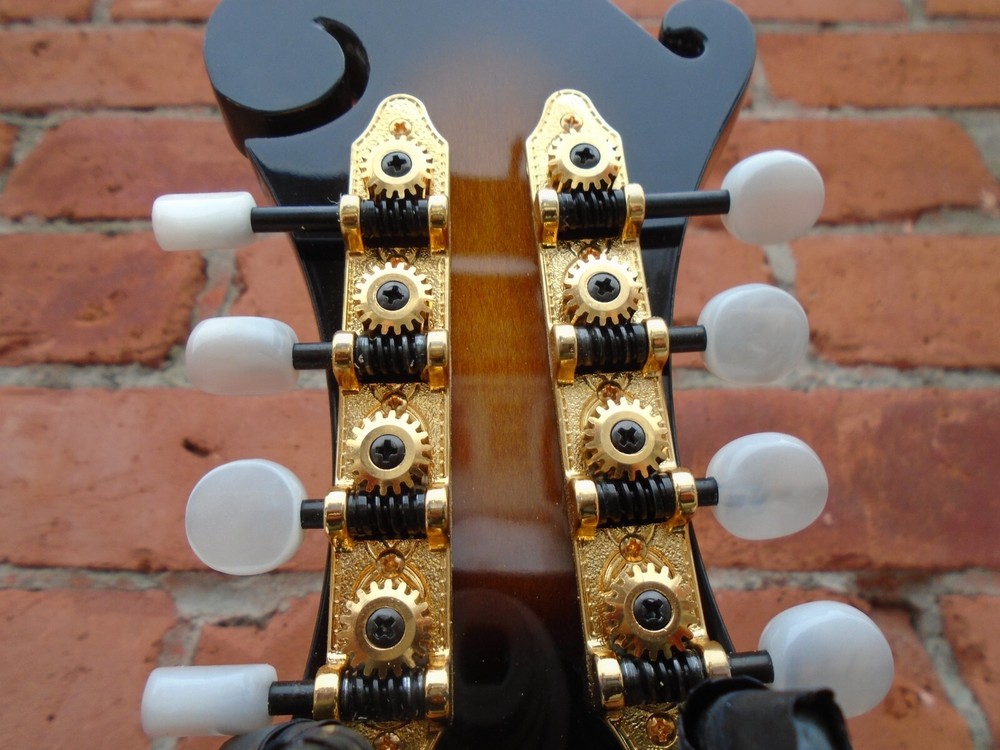 Gold Tone GM-70 Plus Mandolin, store demo