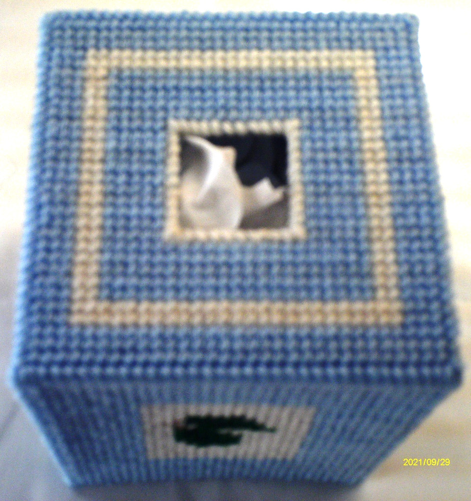 "Nuthatch & Leaves" Tissue Box Cover (Plastic & Yarn) Finished