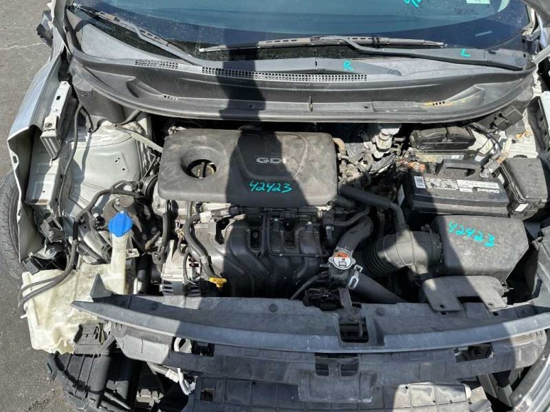 RIO 2017 Muffler 850272