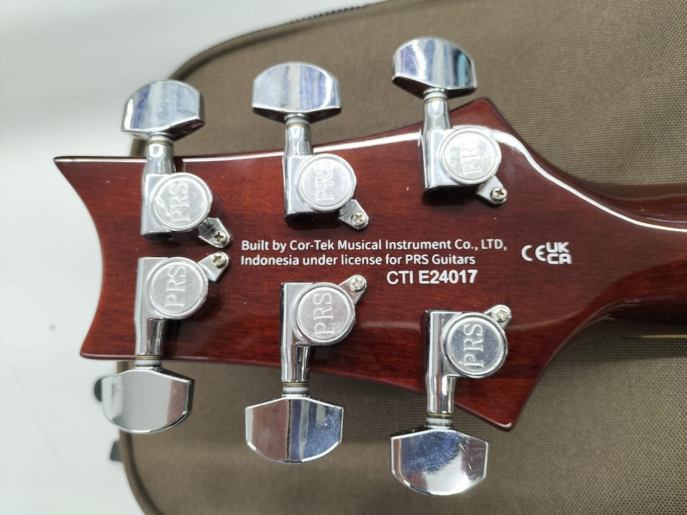 PRS SE STANDARD Electric Guitar-01