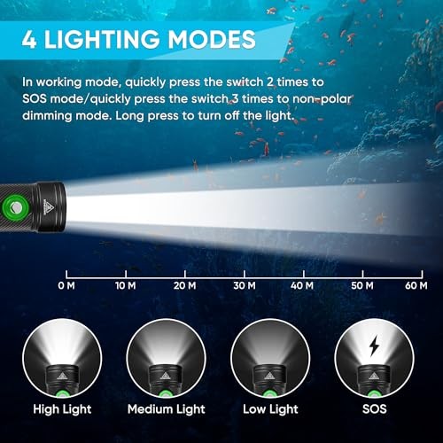 Dive Light Scuba Diving Flashlight, IPX8 Waterproof Flashlight, 4 Black-DF180