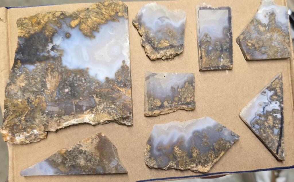 Sagenite Plume Agate Cabochon Slabs, Preforms, Slices, 8 Pcs, Flat 35