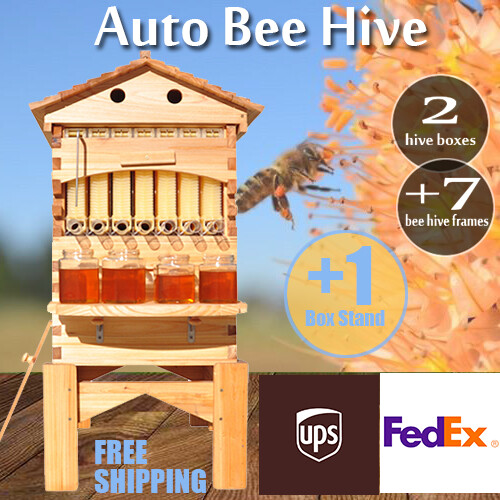 Auto Bee Hives Beekeeping Box Comb Honey House +7 Beekeeping Frames + Hive Stand