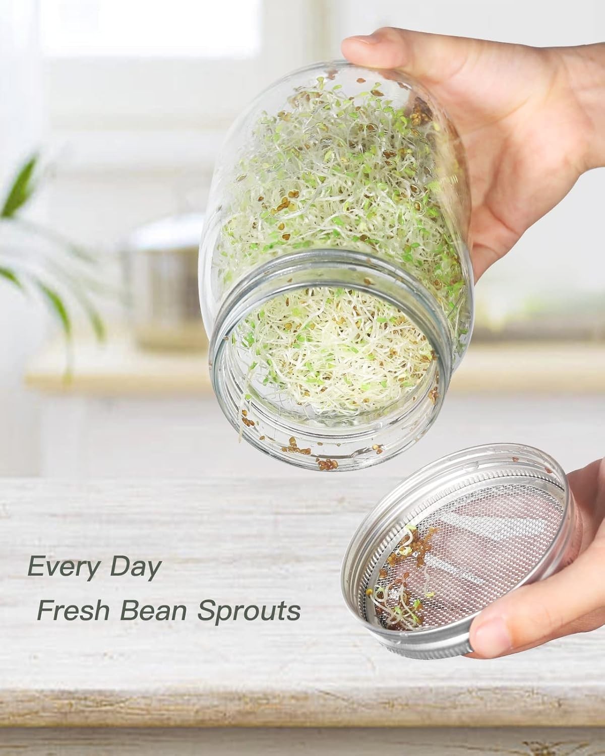 3/12 Pack Sprouting Lid 316 Stainless Steel Screen Lid for 86mm Wide Mouth Mason