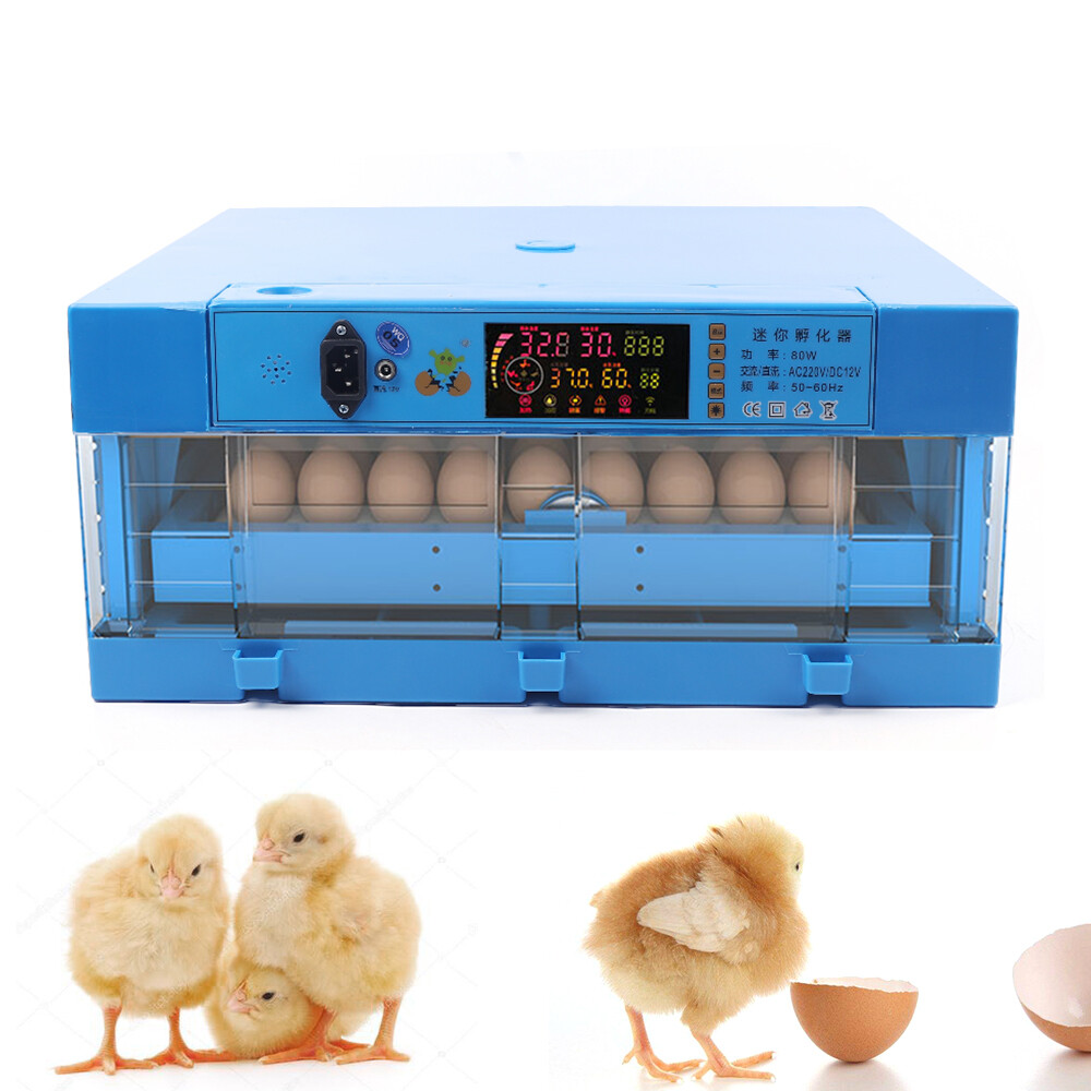 Incubator Automatic Digital Chicken Egg Hatcher 64 Eggs Temperature Control