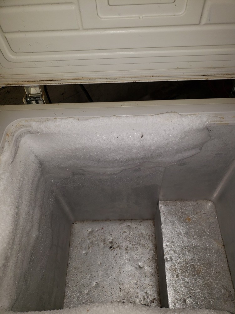 Chest Freezer