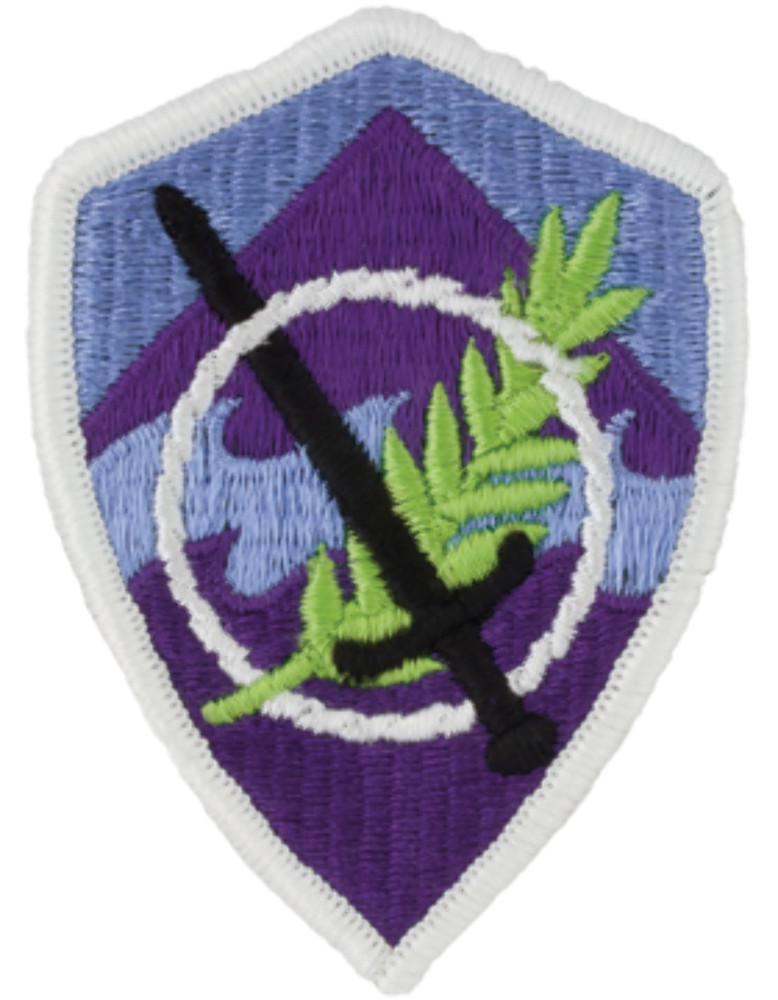 350th Civil Affairs Brigade Patch