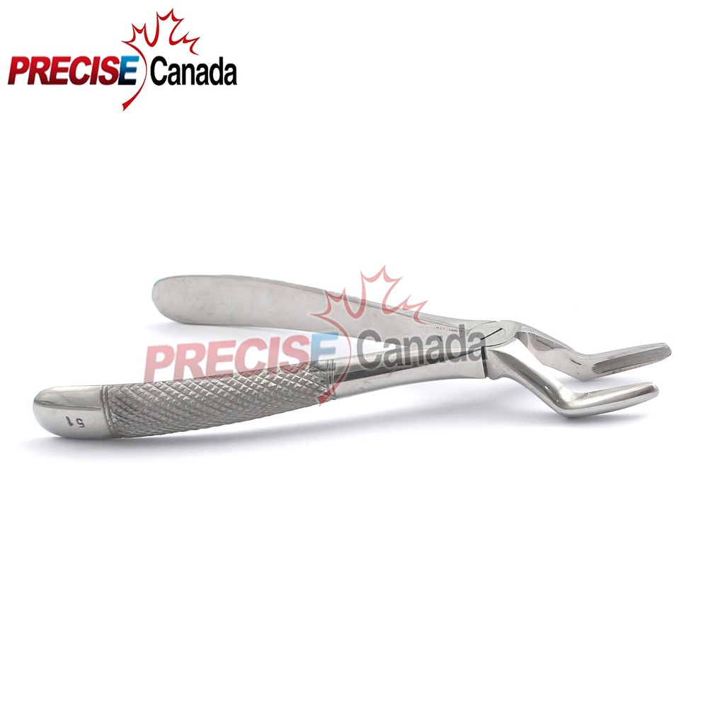 Extraction Forceps #51 English Pattern Dental Surgery Instruments
