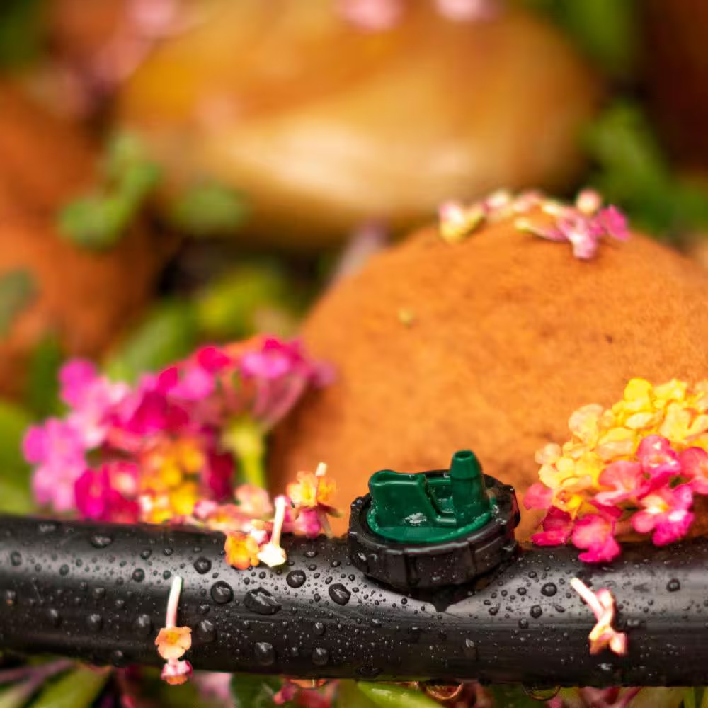 2 GPH Button Dripper (25-Pack)