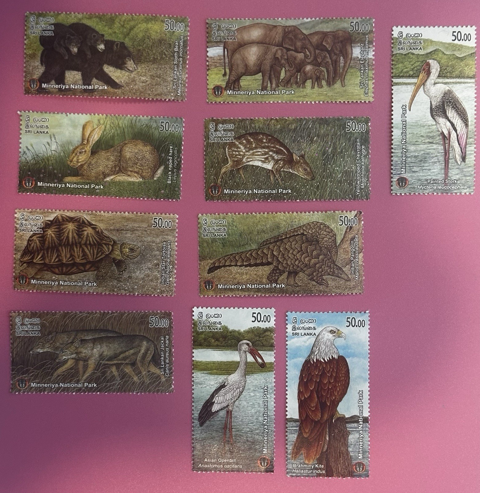 Sri Lanka 2025 Stamp Minneriya Park Mint MNH Animals Nature Wildlife Bird