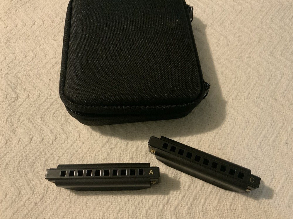 Roadhouse Blues Harmonica Set