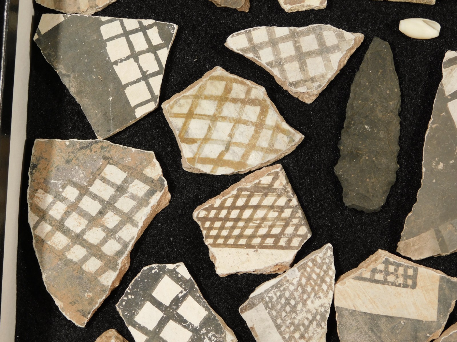 Big Lot! of ANASAZI Pottery Shards or Sherds in Wall Mountable Frame Arizona