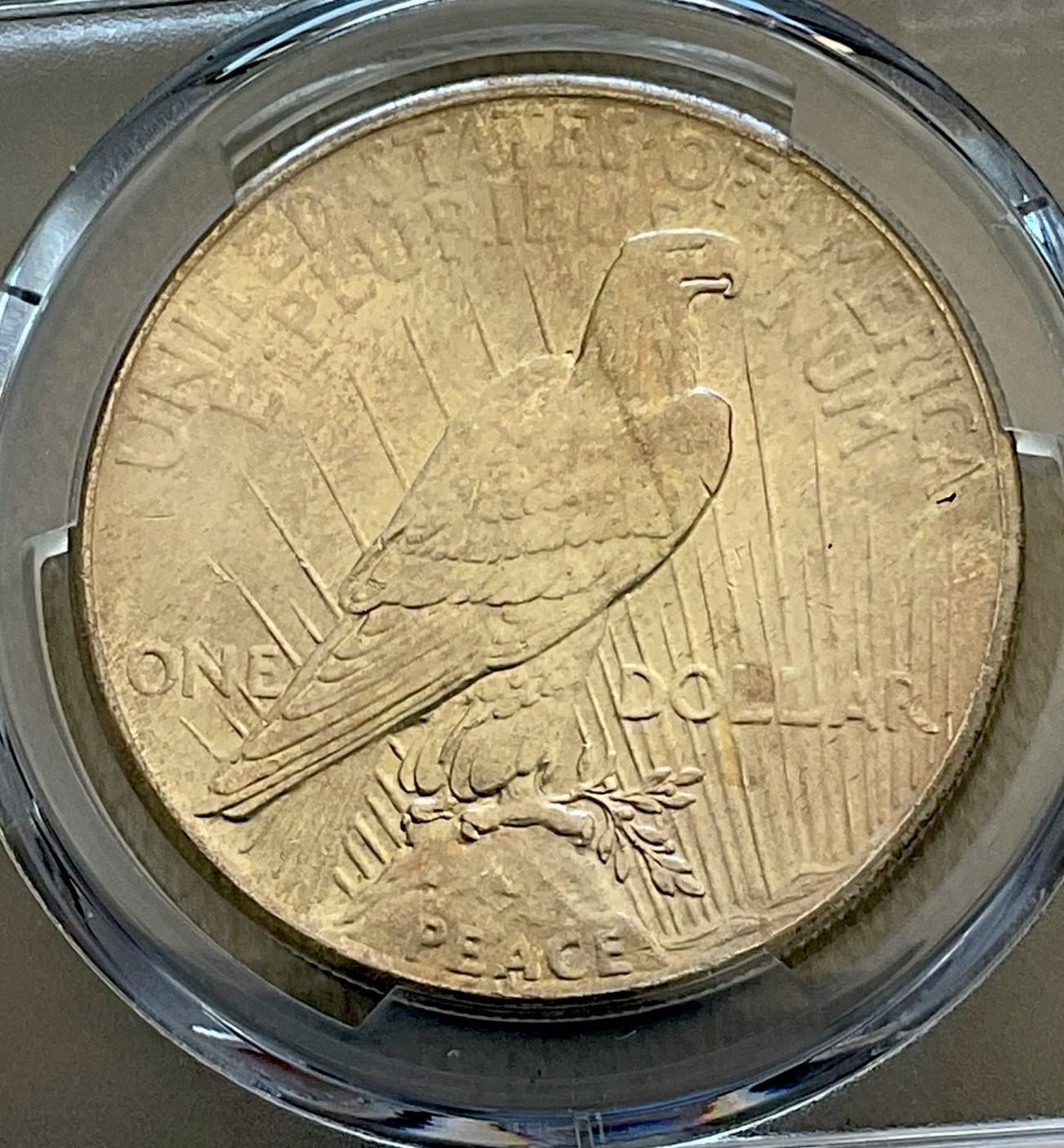 1925 P Peace Silver Dollar $1 PCGS MS66 High Grade Beauty Free Shipping