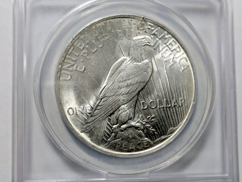 1923 Peace Silver Dollar ANACS MS-63 Struck on Cracked Blank Planchet Mint Error