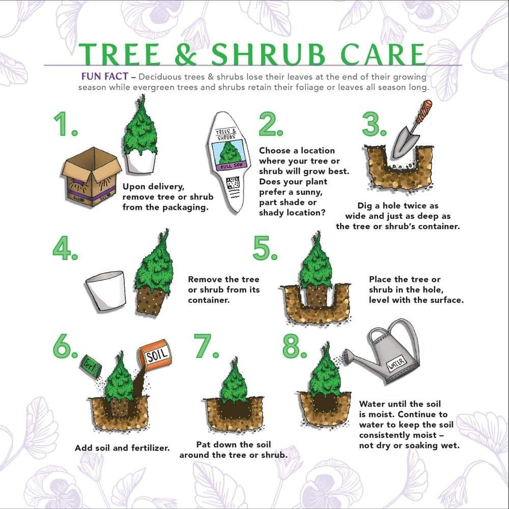 Straw Bale Full Size NEW