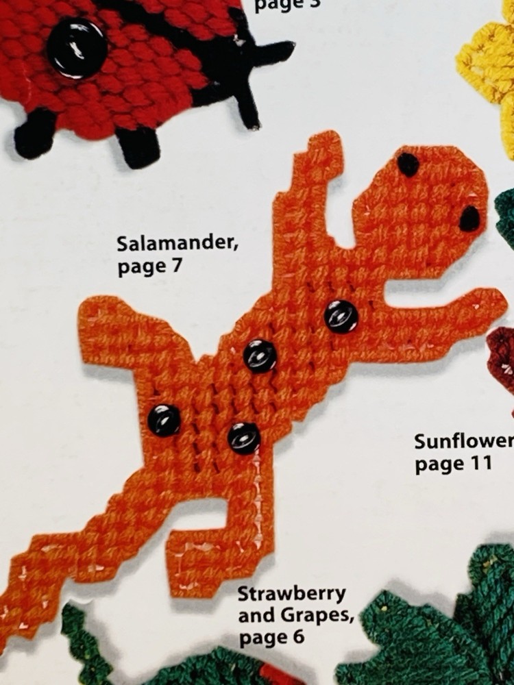 Button Magnets Plastic Canvas Patterns House of White Birches 36 Projects