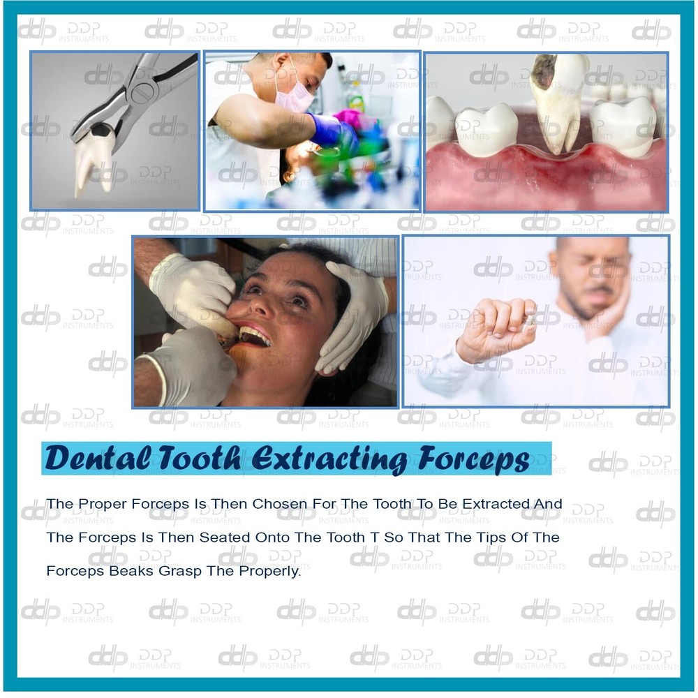 Extracting Forceps Adults - #10S. Comes with knurled handle
