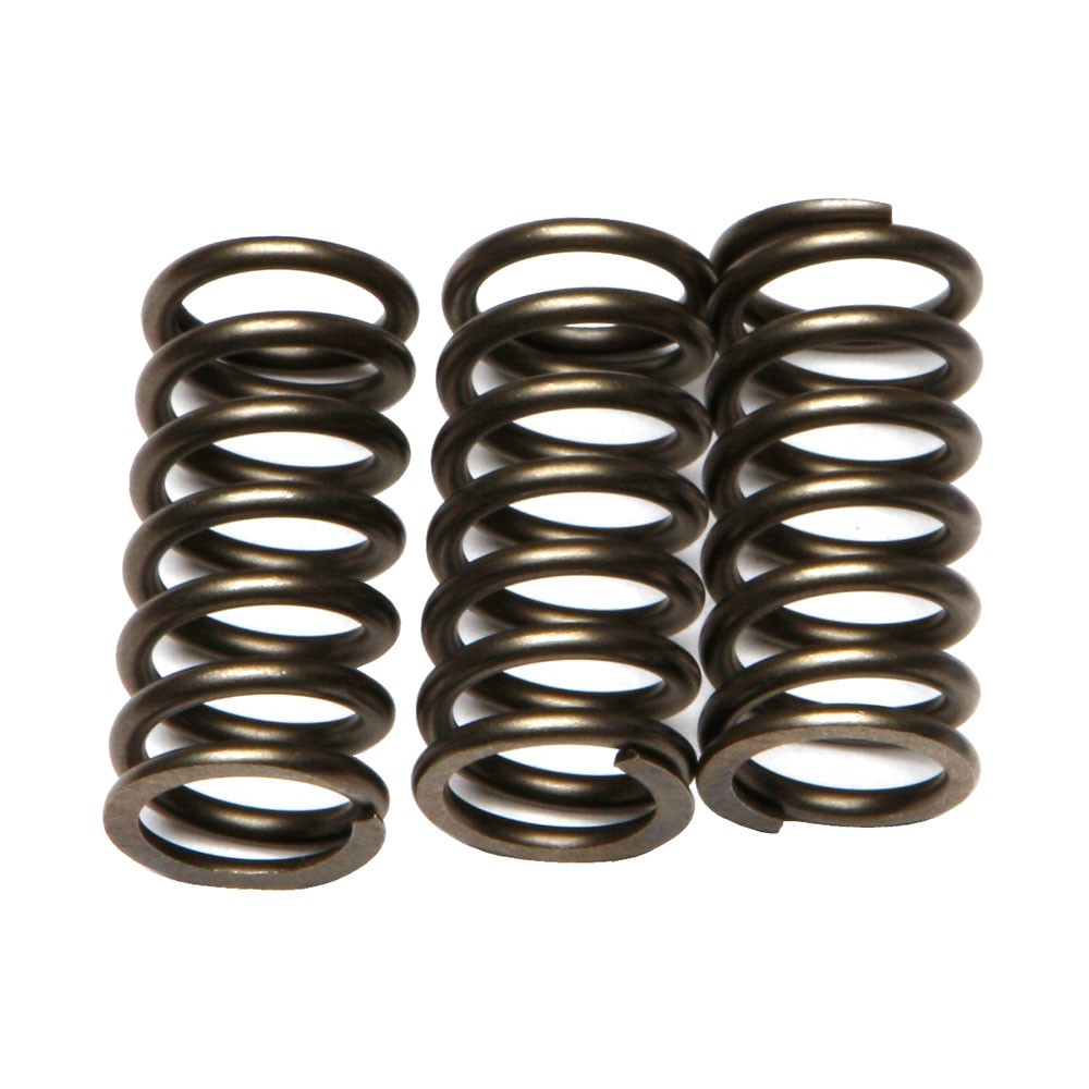 EBC CSK Clutch Spring Kit - CSK203