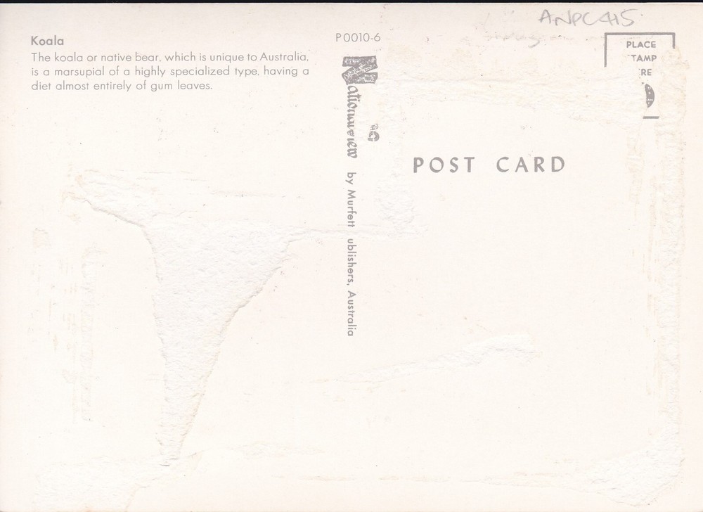 ANPC415) PC Australia, Koala, unused