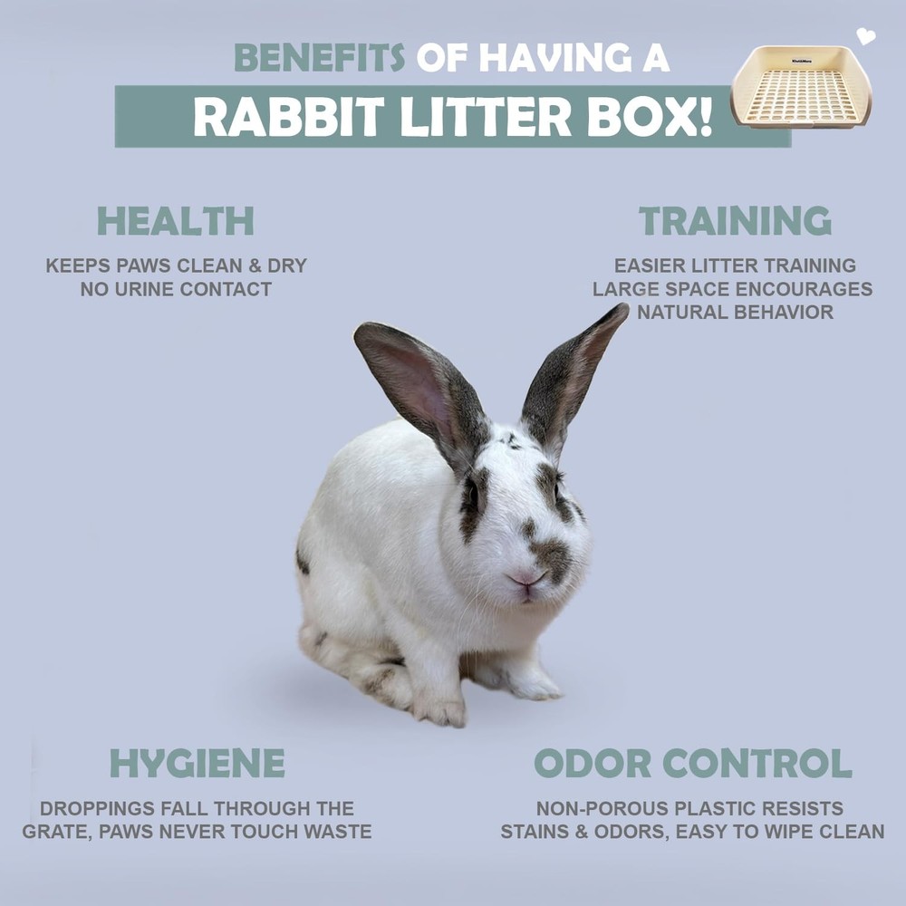 Rabbit Litter Box - Extra Large Bunny Litter Box, Easy to Clean and Disassemb...