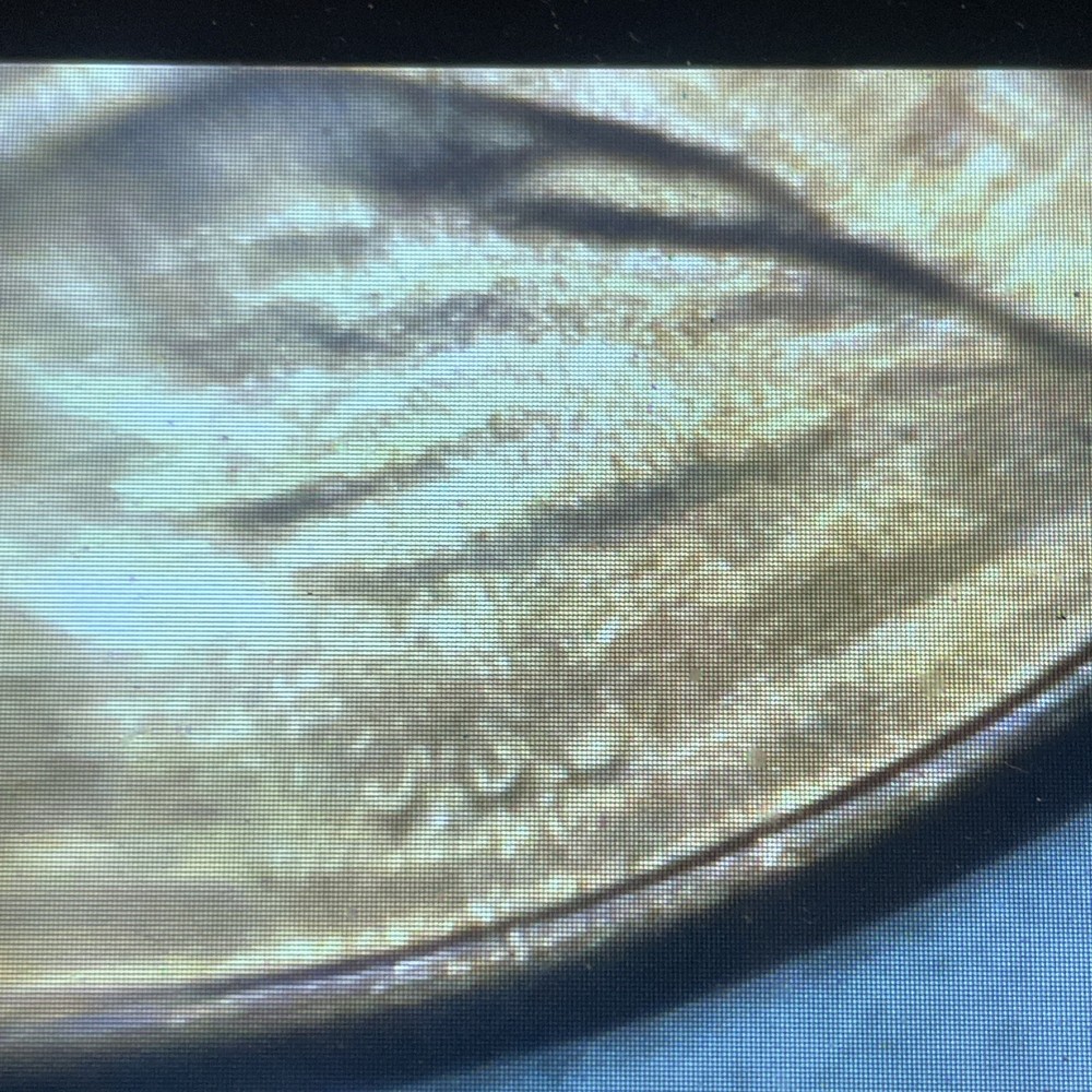 2022 Penny Lot Extra V, From Bu Roll