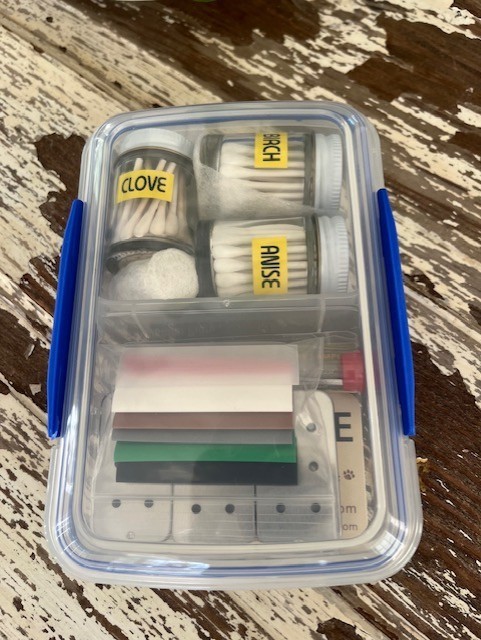 sistema Dog training kit