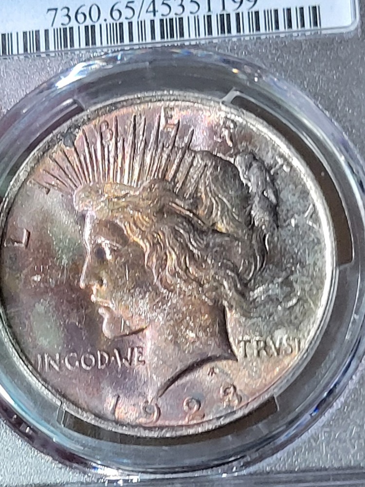 1923 $1 Peace Dollar PCGS MS65 Toned